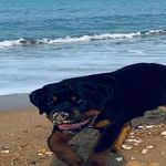 /photo/807865/媾 配/img_20230113_004822_1_1_small.jpg